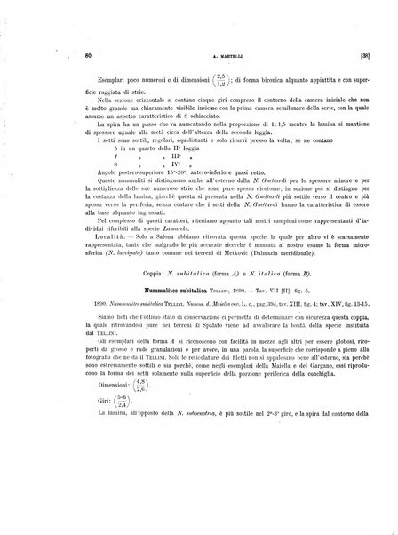 Palaeontographia Italica raccolta di monografie paleontologiche fondata da Mario Canavari nell'anno 1895