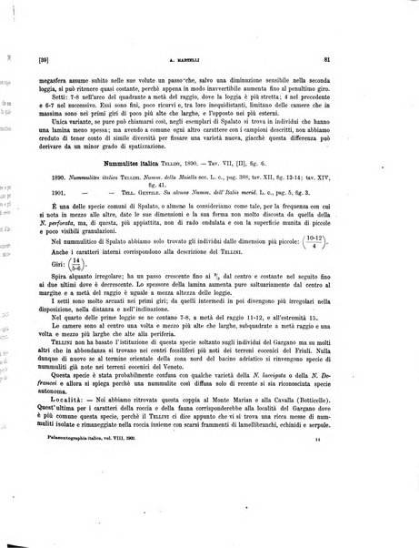 Palaeontographia Italica raccolta di monografie paleontologiche fondata da Mario Canavari nell'anno 1895