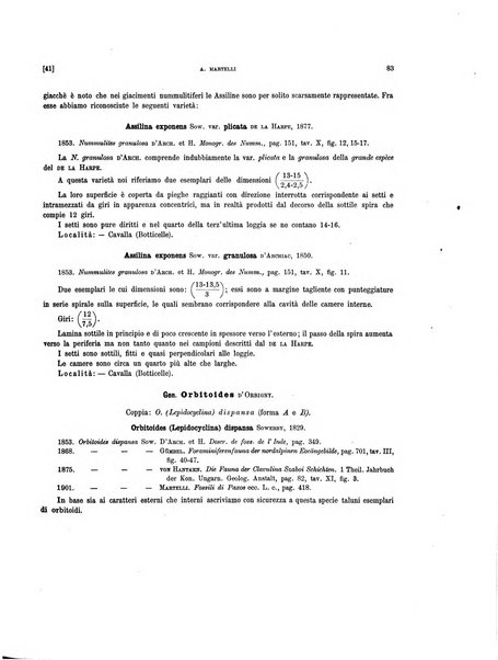 Palaeontographia Italica raccolta di monografie paleontologiche fondata da Mario Canavari nell'anno 1895