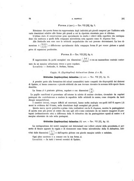 Palaeontographia Italica raccolta di monografie paleontologiche fondata da Mario Canavari nell'anno 1895