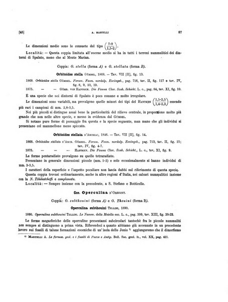 Palaeontographia Italica raccolta di monografie paleontologiche fondata da Mario Canavari nell'anno 1895