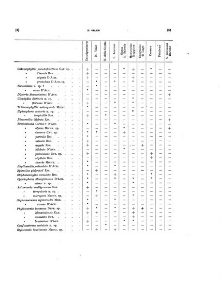 Palaeontographia Italica raccolta di monografie paleontologiche fondata da Mario Canavari nell'anno 1895