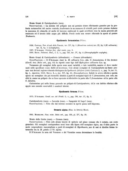 Palaeontographia Italica raccolta di monografie paleontologiche fondata da Mario Canavari nell'anno 1895