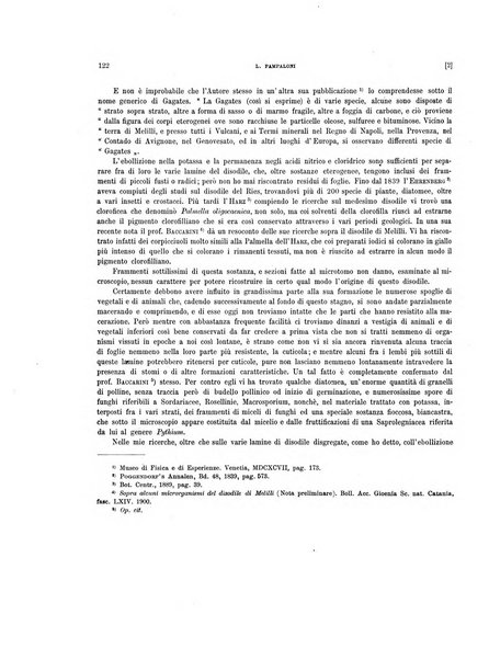 Palaeontographia Italica raccolta di monografie paleontologiche fondata da Mario Canavari nell'anno 1895