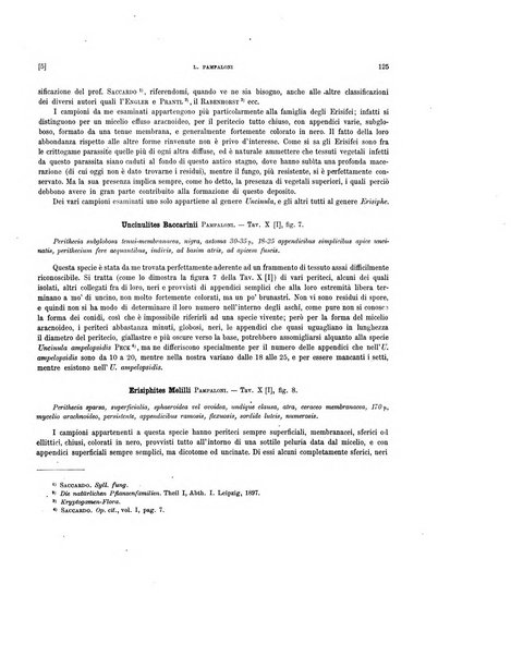 Palaeontographia Italica raccolta di monografie paleontologiche fondata da Mario Canavari nell'anno 1895