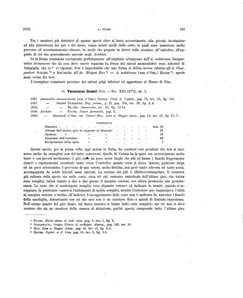 Palaeontographia Italica raccolta di monografie paleontologiche fondata da Mario Canavari nell'anno 1895