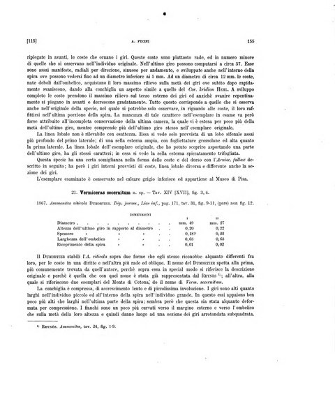 Palaeontographia Italica raccolta di monografie paleontologiche fondata da Mario Canavari nell'anno 1895