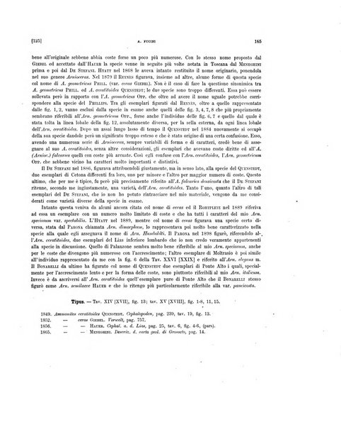 Palaeontographia Italica raccolta di monografie paleontologiche fondata da Mario Canavari nell'anno 1895