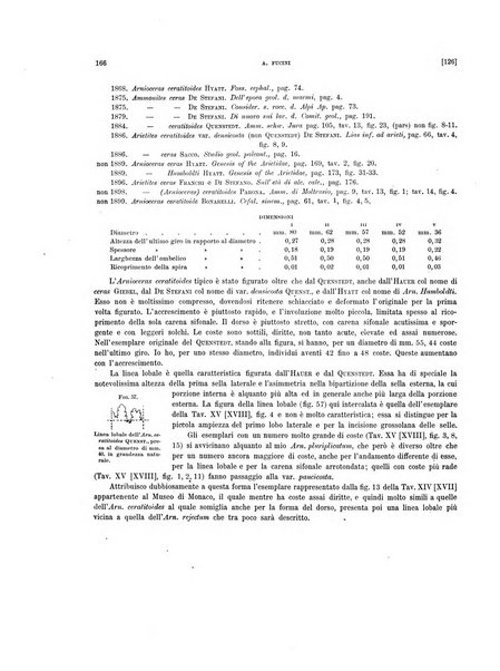 Palaeontographia Italica raccolta di monografie paleontologiche fondata da Mario Canavari nell'anno 1895