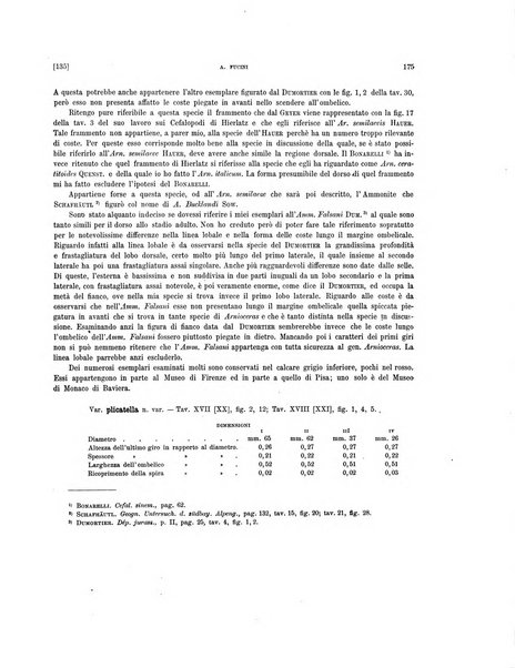 Palaeontographia Italica raccolta di monografie paleontologiche fondata da Mario Canavari nell'anno 1895