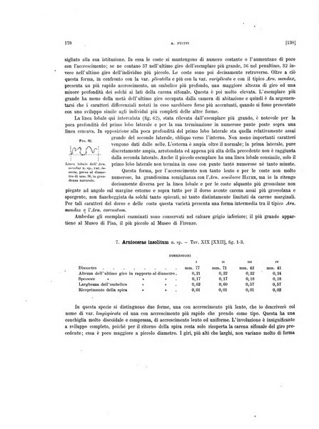 Palaeontographia Italica raccolta di monografie paleontologiche fondata da Mario Canavari nell'anno 1895