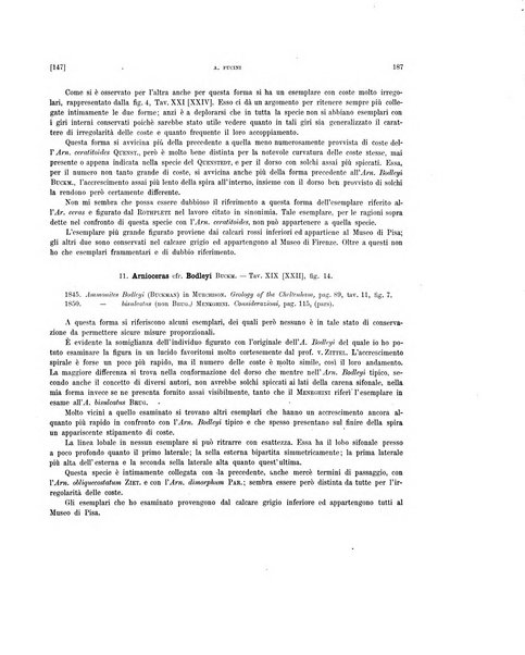 Palaeontographia Italica raccolta di monografie paleontologiche fondata da Mario Canavari nell'anno 1895