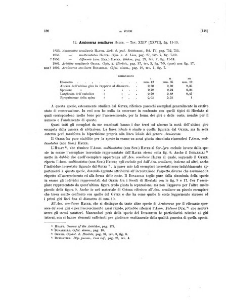 Palaeontographia Italica raccolta di monografie paleontologiche fondata da Mario Canavari nell'anno 1895