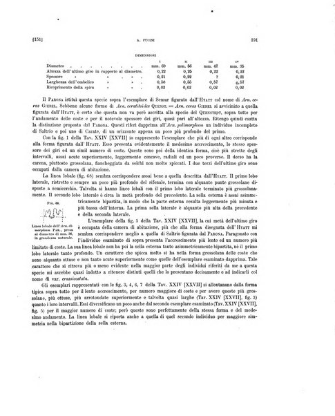 Palaeontographia Italica raccolta di monografie paleontologiche fondata da Mario Canavari nell'anno 1895