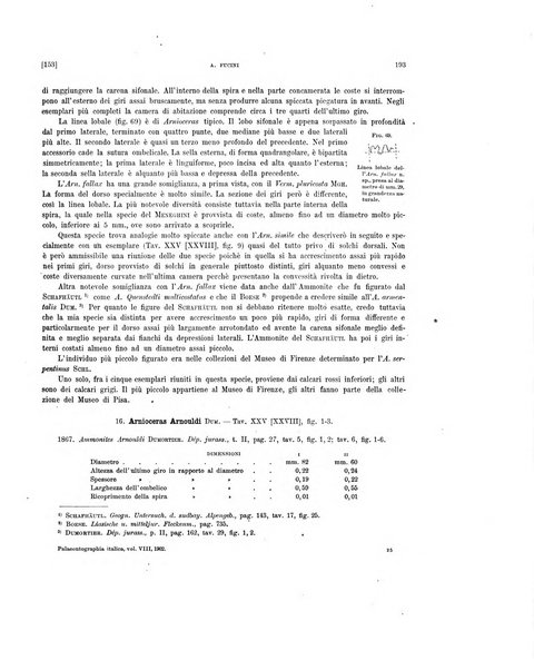 Palaeontographia Italica raccolta di monografie paleontologiche fondata da Mario Canavari nell'anno 1895