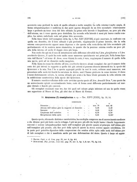 Palaeontographia Italica raccolta di monografie paleontologiche fondata da Mario Canavari nell'anno 1895