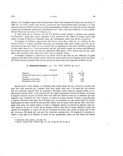 Palaeontographia Italica raccolta di monografie paleontologiche fondata da Mario Canavari nell'anno 1895