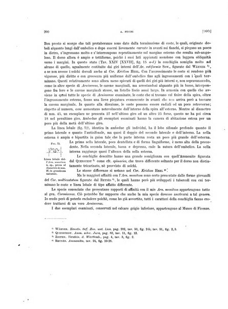 Palaeontographia Italica raccolta di monografie paleontologiche fondata da Mario Canavari nell'anno 1895