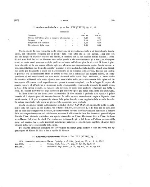 Palaeontographia Italica raccolta di monografie paleontologiche fondata da Mario Canavari nell'anno 1895