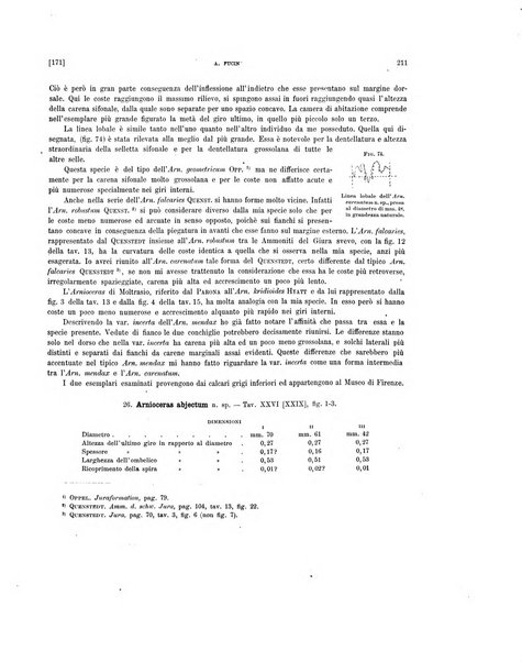 Palaeontographia Italica raccolta di monografie paleontologiche fondata da Mario Canavari nell'anno 1895