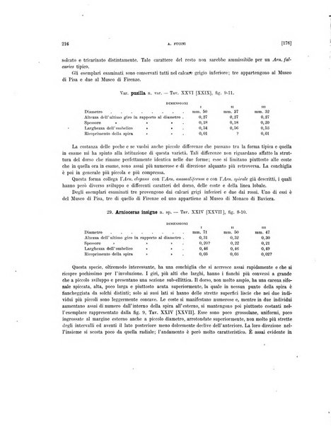 Palaeontographia Italica raccolta di monografie paleontologiche fondata da Mario Canavari nell'anno 1895