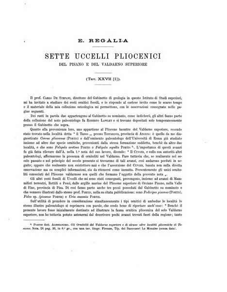 Palaeontographia Italica raccolta di monografie paleontologiche fondata da Mario Canavari nell'anno 1895