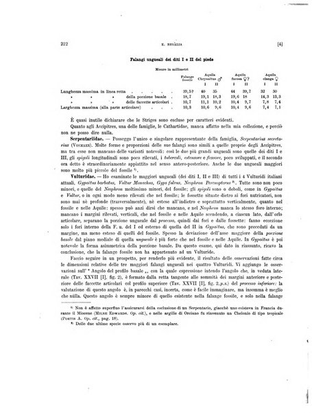 Palaeontographia Italica raccolta di monografie paleontologiche fondata da Mario Canavari nell'anno 1895