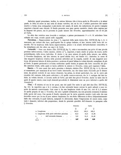 Palaeontographia Italica raccolta di monografie paleontologiche fondata da Mario Canavari nell'anno 1895