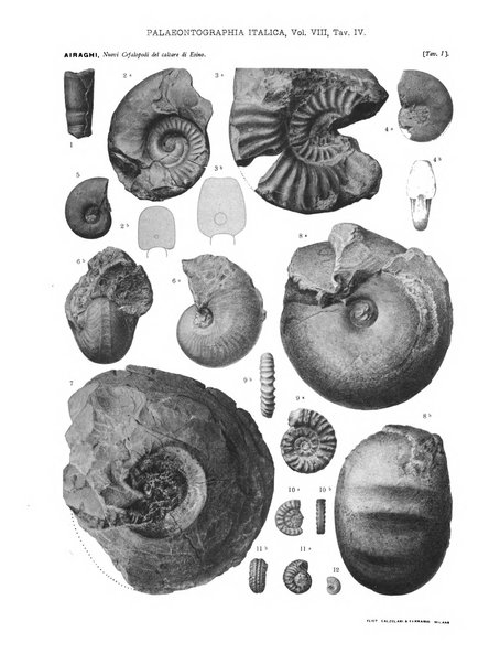 Palaeontographia Italica raccolta di monografie paleontologiche fondata da Mario Canavari nell'anno 1895