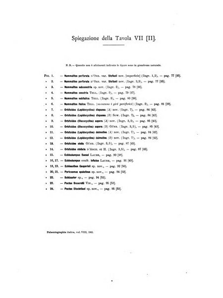 Palaeontographia Italica raccolta di monografie paleontologiche fondata da Mario Canavari nell'anno 1895