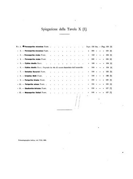 Palaeontographia Italica raccolta di monografie paleontologiche fondata da Mario Canavari nell'anno 1895