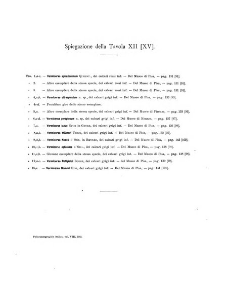 Palaeontographia Italica raccolta di monografie paleontologiche fondata da Mario Canavari nell'anno 1895