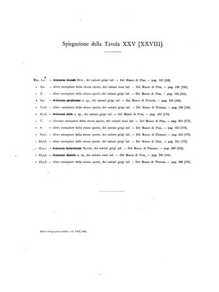 Palaeontographia Italica raccolta di monografie paleontologiche fondata da Mario Canavari nell'anno 1895