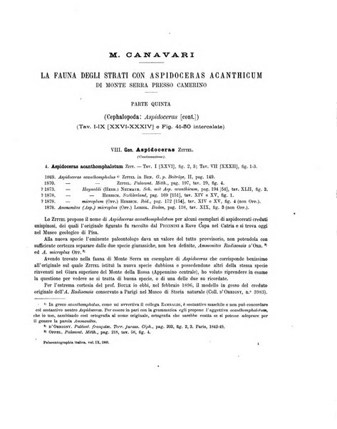 Palaeontographia Italica raccolta di monografie paleontologiche fondata da Mario Canavari nell'anno 1895