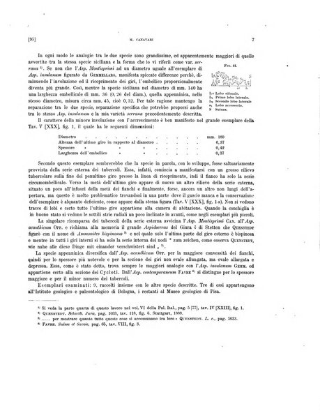 Palaeontographia Italica raccolta di monografie paleontologiche fondata da Mario Canavari nell'anno 1895