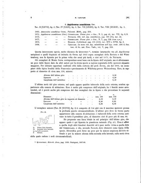 Palaeontographia Italica raccolta di monografie paleontologiche fondata da Mario Canavari nell'anno 1895