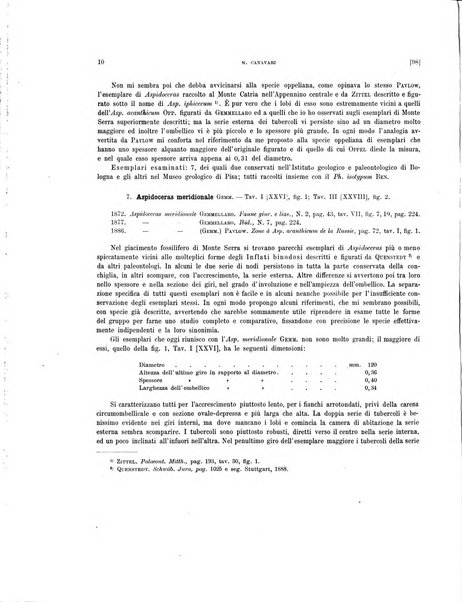 Palaeontographia Italica raccolta di monografie paleontologiche fondata da Mario Canavari nell'anno 1895