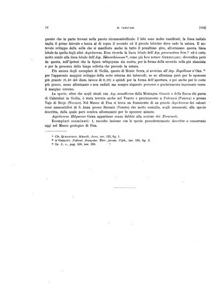 Palaeontographia Italica raccolta di monografie paleontologiche fondata da Mario Canavari nell'anno 1895