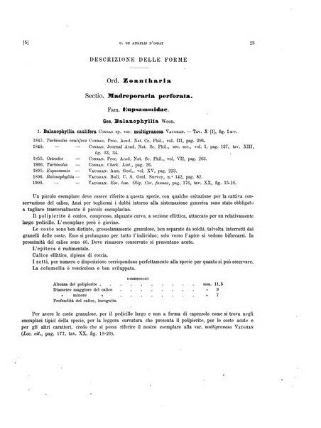 Palaeontographia Italica raccolta di monografie paleontologiche fondata da Mario Canavari nell'anno 1895