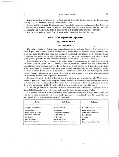 Palaeontographia Italica raccolta di monografie paleontologiche fondata da Mario Canavari nell'anno 1895