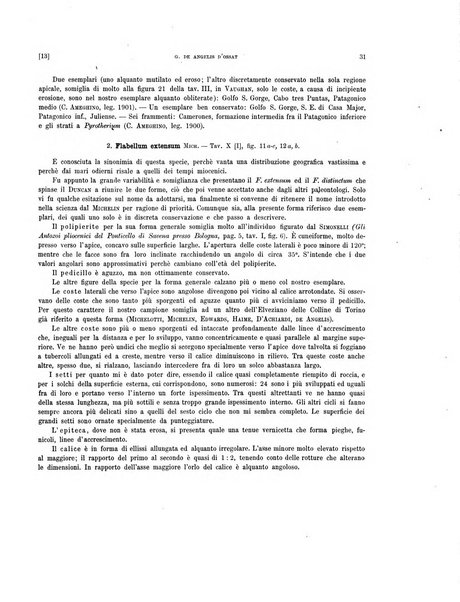 Palaeontographia Italica raccolta di monografie paleontologiche fondata da Mario Canavari nell'anno 1895