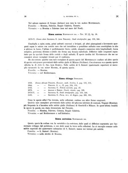 Palaeontographia Italica raccolta di monografie paleontologiche fondata da Mario Canavari nell'anno 1895