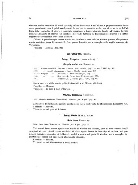 Palaeontographia Italica raccolta di monografie paleontologiche fondata da Mario Canavari nell'anno 1895