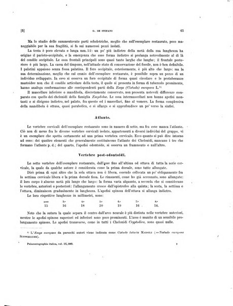 Palaeontographia Italica raccolta di monografie paleontologiche fondata da Mario Canavari nell'anno 1895