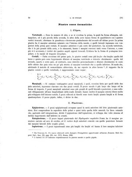 Palaeontographia Italica raccolta di monografie paleontologiche fondata da Mario Canavari nell'anno 1895