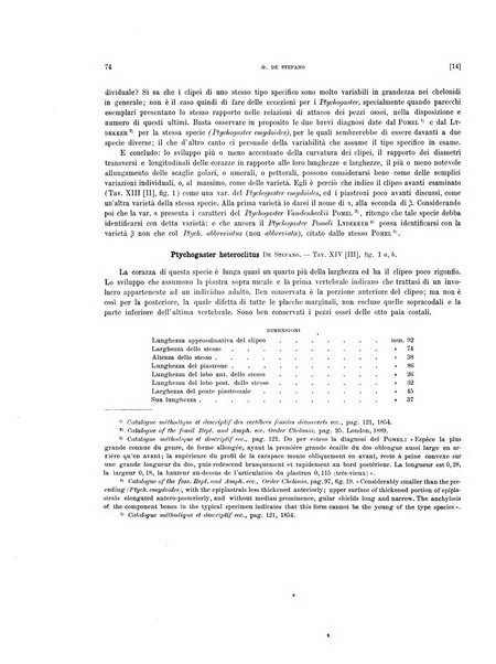 Palaeontographia Italica raccolta di monografie paleontologiche fondata da Mario Canavari nell'anno 1895