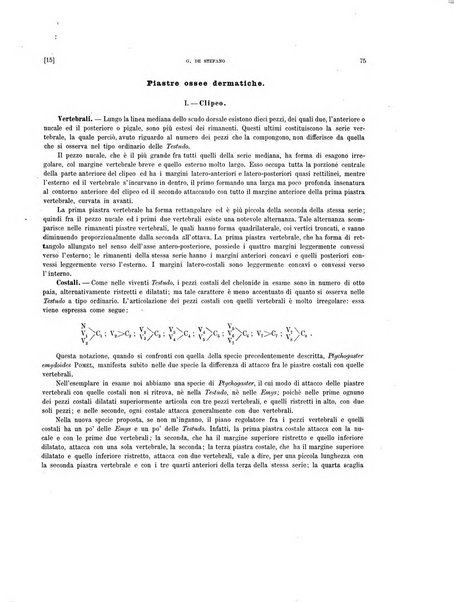 Palaeontographia Italica raccolta di monografie paleontologiche fondata da Mario Canavari nell'anno 1895