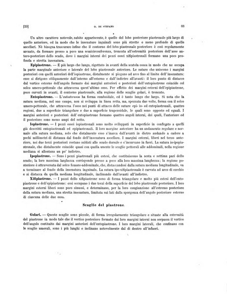 Palaeontographia Italica raccolta di monografie paleontologiche fondata da Mario Canavari nell'anno 1895