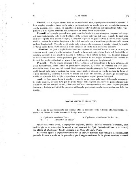 Palaeontographia Italica raccolta di monografie paleontologiche fondata da Mario Canavari nell'anno 1895