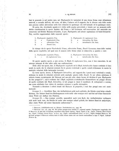 Palaeontographia Italica raccolta di monografie paleontologiche fondata da Mario Canavari nell'anno 1895